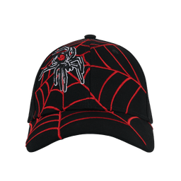 Spiderweb Hat